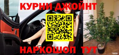 индика Лесосибирск