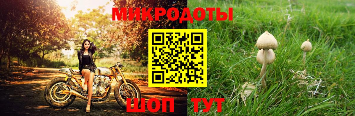 Галлюциногенные грибы Cubensis  Вход с VPN  Урус-Мартан  Псилоцибиновые грибы ЛСД 